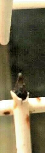 Schutzkappen Glasschutz Spülmaschinen-Gestell Reparatur Geschirrspüler Korb Glas - Bild 2 von 12