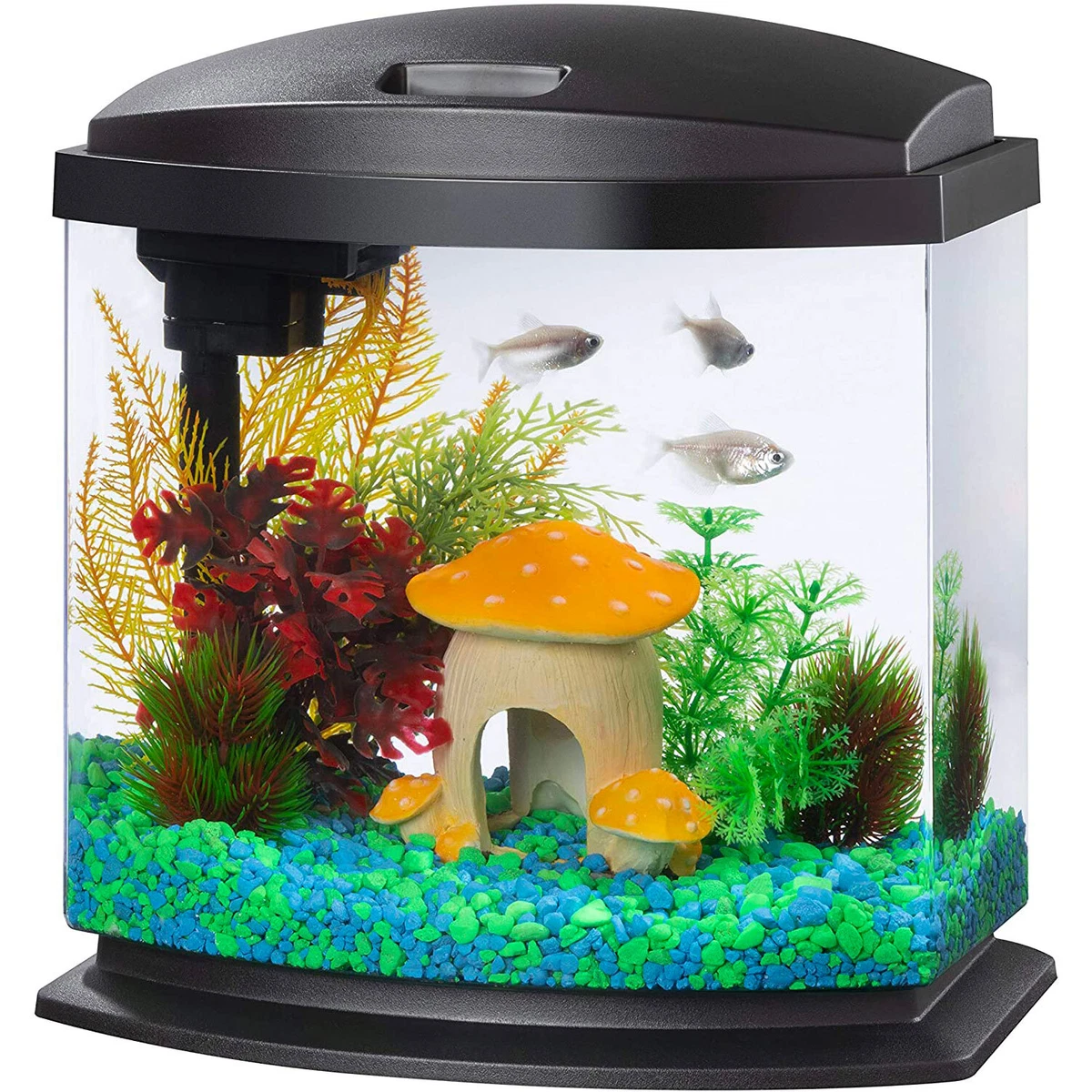 Aqueon LED 2.5 Gallon MiniBow SmartClean Fish Aquarium Kit w/ Nano Power  Filter