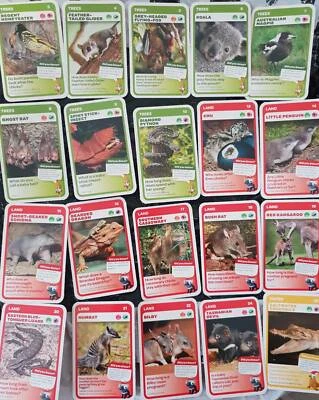 woolworths kids toys