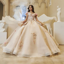 Light Champagne Ball Gown Quinceanera Dresses Lace Up Off the Shoulder Applique