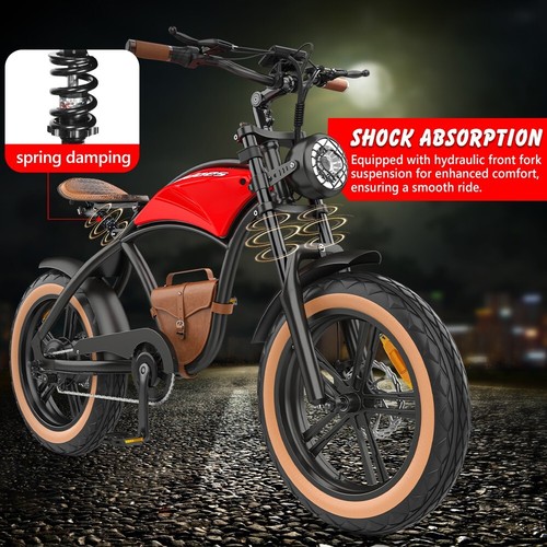 Hidoes B10 20" Fat Tire E-Bike E-Mountain Bike 100OW motor 48V 13Ah battery - Picture 13 of 23