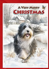 Weihnachtskarte Bearded Collie Hund A6 (4 Zoll x 6 Zoll) (innen leer) Design von Starprint