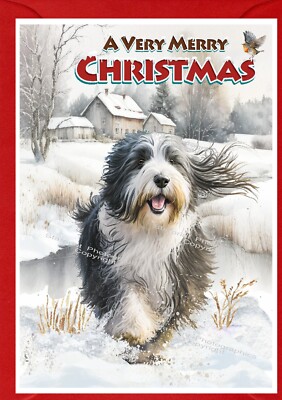 Weihnachtskarte Bearded Collie Hund A6 (4 Zoll x 6 Zoll) (innen leer) Design von Starprint