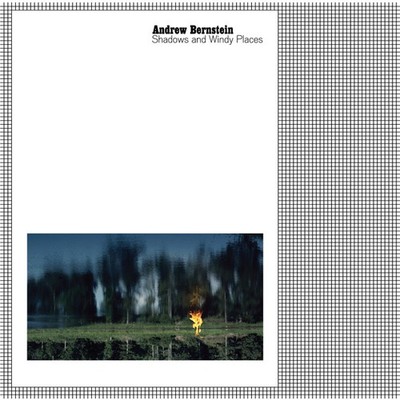 Andrew Bernstein - Shadows And Windy Places (Vinyl LP - 2025 - US - Original)