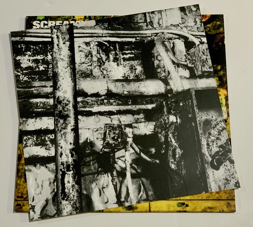 Rare Screaming Trees Sweet Oblivion Ltd #’d MOV Edition 12” Flaming Vinyl 2017 Foto 4 de 4