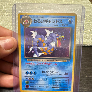 Japanese Dark Gyarados | eBay