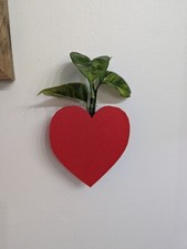 Indoor Wall Heart Planter Propagation Station with Glass Tube