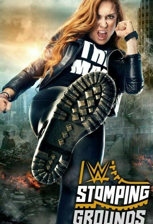 525528 BECKY LYNCH Raw Wrestling 16x12 WALL PRINT POSTER | eBay