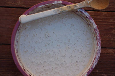 live SOURDOUGH bread STARTER San Francisco BEAST+ RECIPES dry powder yeast mix21