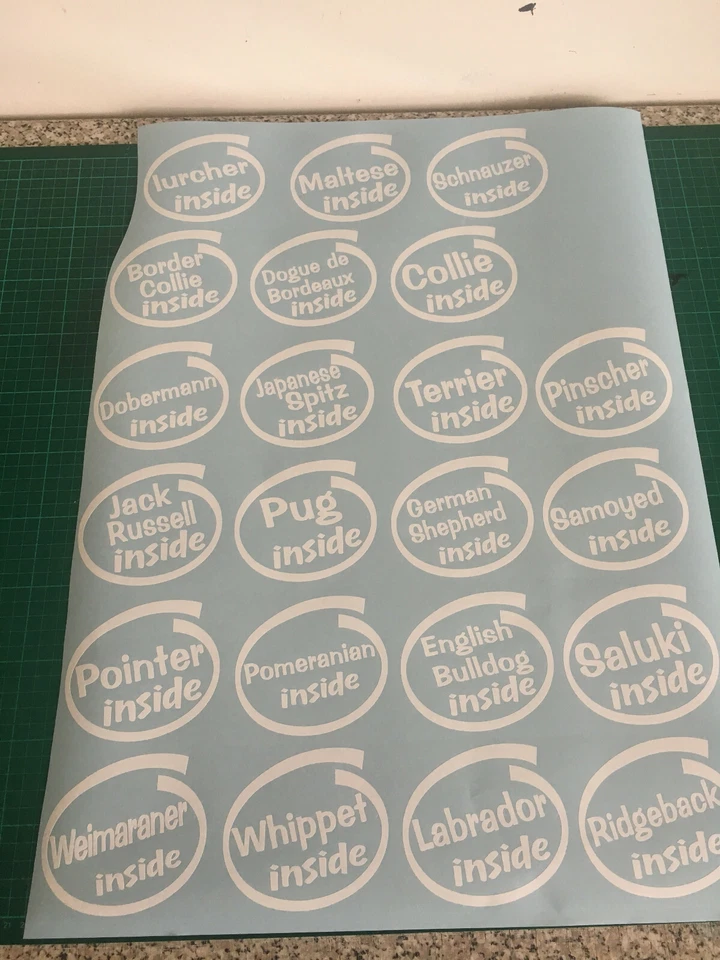 CHIHUAHUA INSIDE DOG ON BOARD CAR WINDOW STICKER DECAL IN WHITE ALL COLOURS MADE - Image 3 of 4