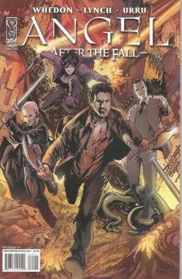 ANGEL - After the Fall #15 B - Back Issue (S)