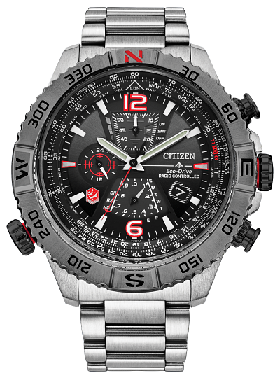 citizen promaster snowbirds
