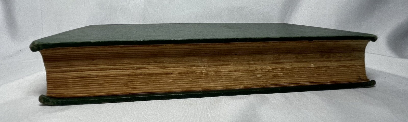 Picture 11 of 13