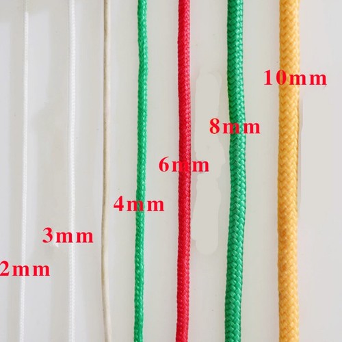 2/3/4/6mm Cord Paracord Lanyard Tent Camping Guy Rope Parachute Cord 32FT - Picture 11 of 21