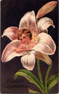 Vintage Embossed Lily Flower Baby Congratulations Postcard Germany