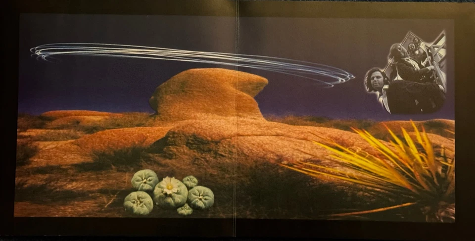 The Doors The Acid Evangelist Auquarius First Show 1969 coloured vinyl - Image 3 of 4