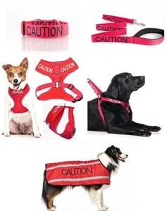 caution dog harness