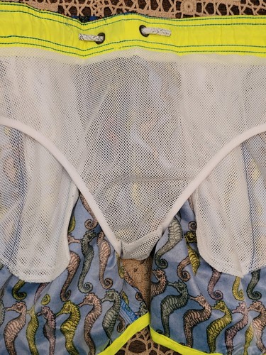 ISLANDHAZE California Seahorses Boy Kid Swim Shorts Trunks Size 14 -NWT - Picture 11 of 12