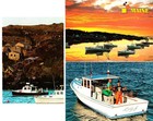 MAINE LOBSTER (3) Mint Continental Chrome Postcards Lot #18