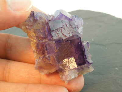 !! Fluorit, violett aus Cave-in-Rock, Hardin County, Illinois (1191)