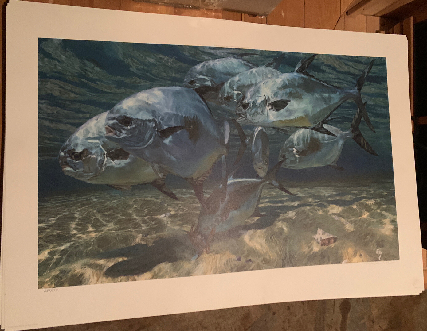 Picture 6 of 18