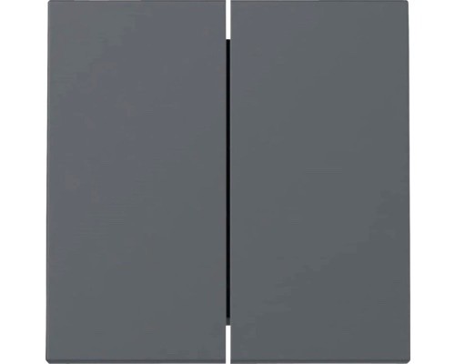 GIRA System 55 E2 Steckdose Schalter / Wippe / Rahmen Anthrazit nach Wahl NEU - Bild 5 von 53