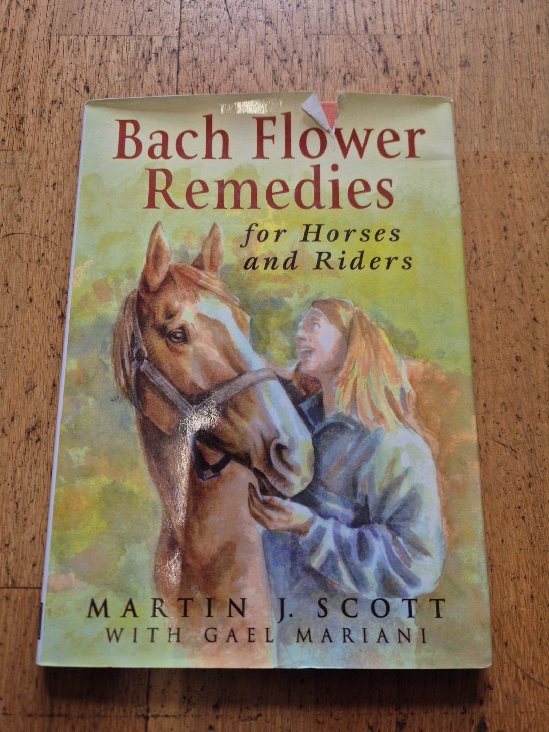 Bach Flower Remedies for Horses & Riders natural complementary therapies horse