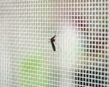 Tata Linda ZANZARIERA MOSCHIERA A ROTOLO ZINCATA MT. 25 Maglia mm. 14x16 H. c...