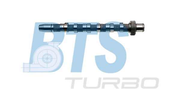 Nockenwelle BTS Turbo CP10240 FüR 3B3 3B2 3B6 VW Passat 3B5 B5 Variant TDI Audi-image