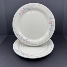 Lenox Chinastone Glories on Grey 8 3/8" Dinner Plates Set of 2