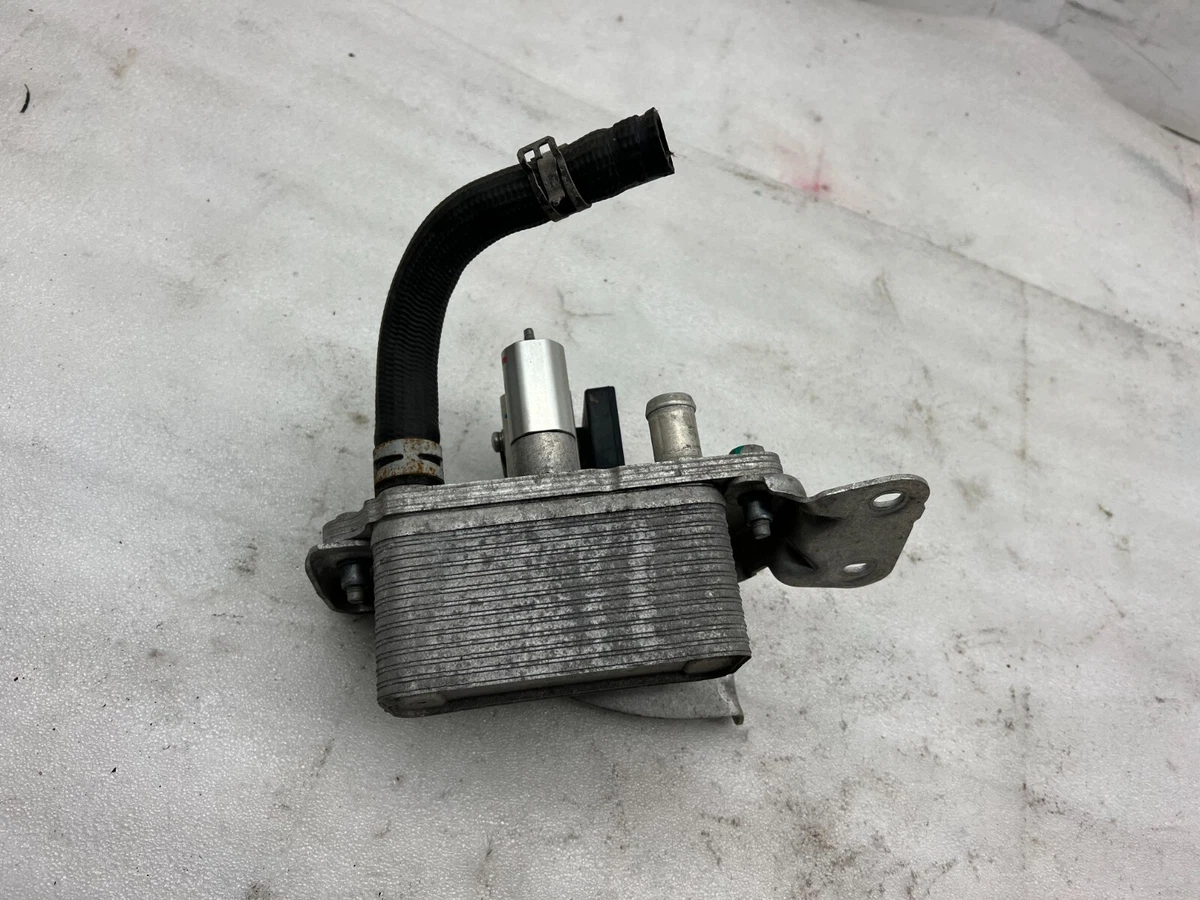 2016-2020 Tesla Model S X Battery Cooler Heat Exchanger Chiller EXV  1037357-00-D | eBay