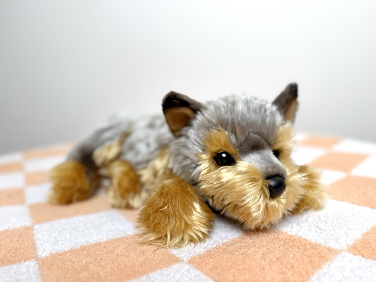 Retired Tiffany Yorkie Laying Plush Brown Dog Douglas Cuddle