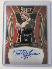 2024 Panini Select WWE Wrestling Checklist Guide in-content 15