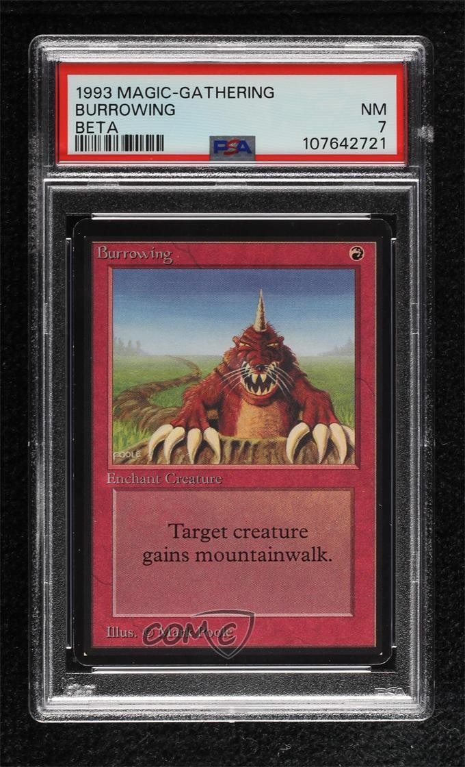 Burrowing Magic: Limited Edition Beta 1993