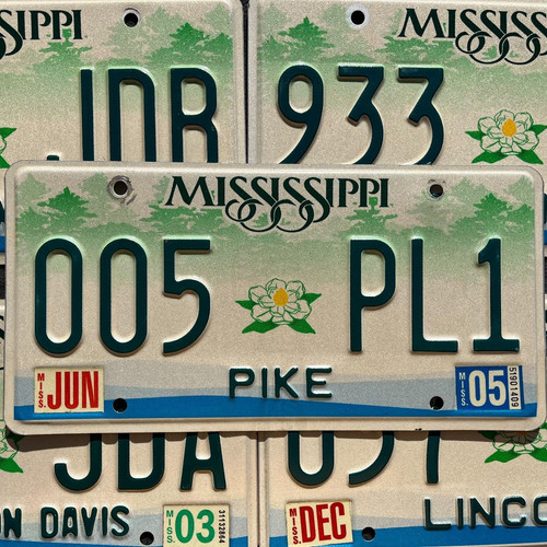 MISSISSIPPI MAGNOLIA Flower Green Graphic License Plate Tags GOOD Condition