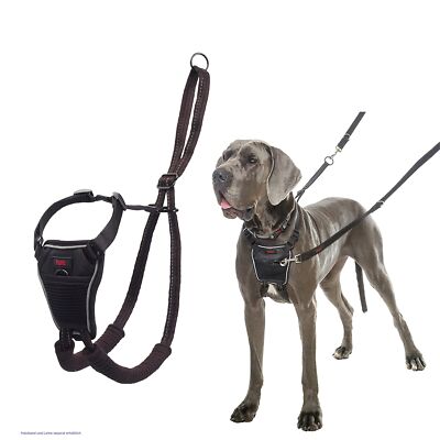 HALTI No Pull Anti-Zug Geschirr Größe Groß - Verhindert dass Ihr Hund an der ...
