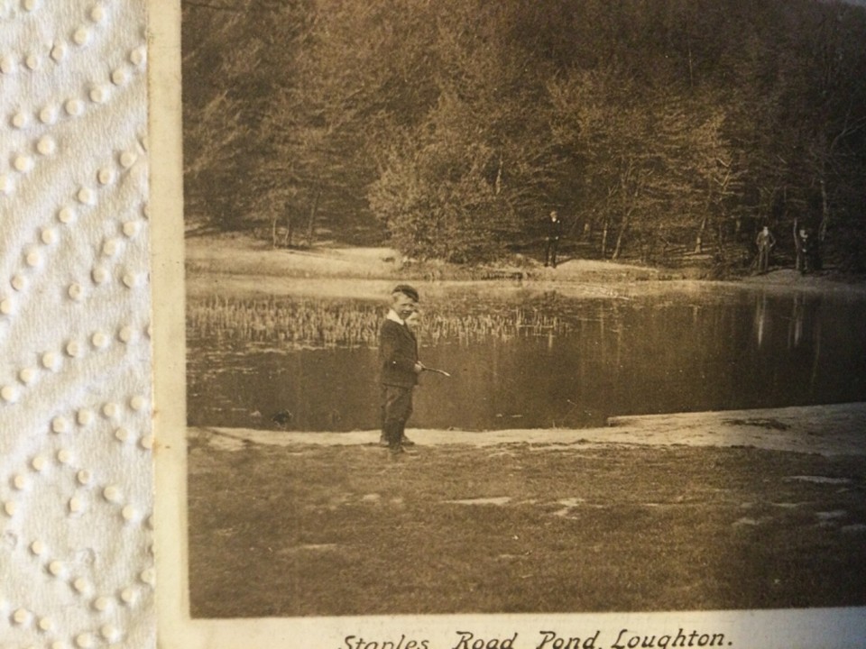 Old Postcard Staples Road Pond, Loughton, Epping Forest, Essex eBay