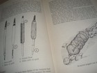 Picture 5 of 6