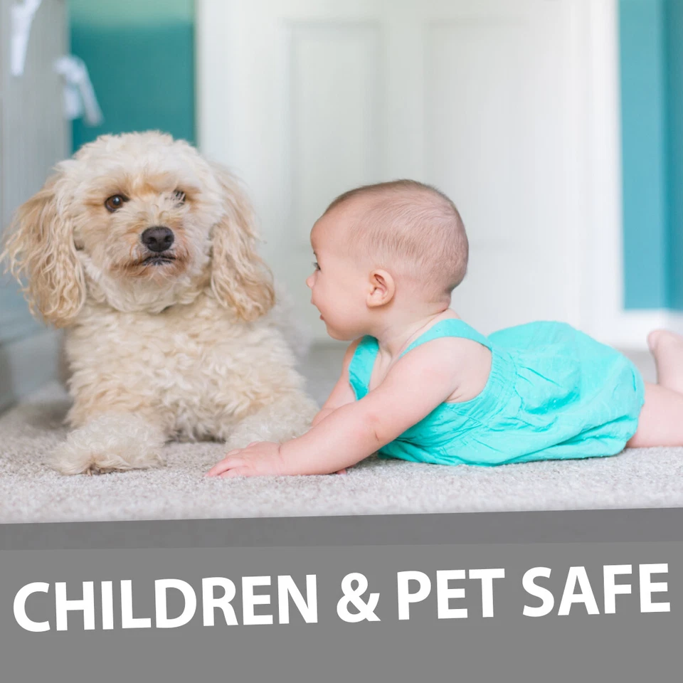 GreenFist Carpet Shampoo Extractor Odor & Stain Remover Concentrated , 1 Quart - Image 3 of 4