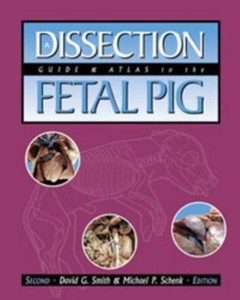 Smith And Schenk Fetal Pig Lab Manual