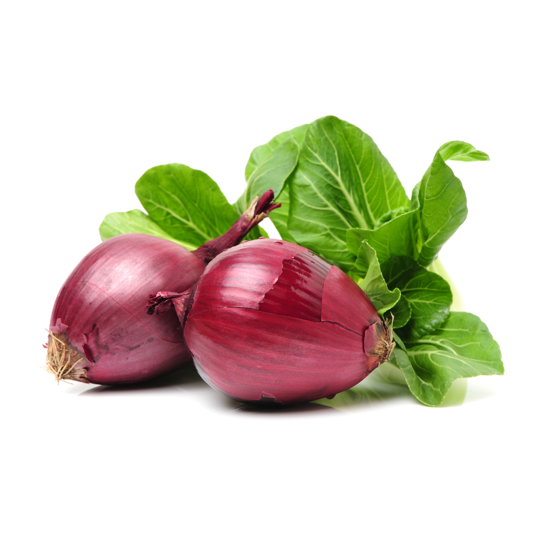 künstliche eukalyptus Künstlicher Eukalyptus Zweig als Dekoration main image 0