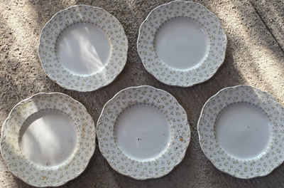J & G Meakin Forget-me-not Staffordshire England Round Plates Set of 5