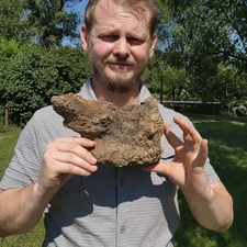 Triceratops Vertebra - Dinosaur Fossil - Authentic - Hell Creek Formation