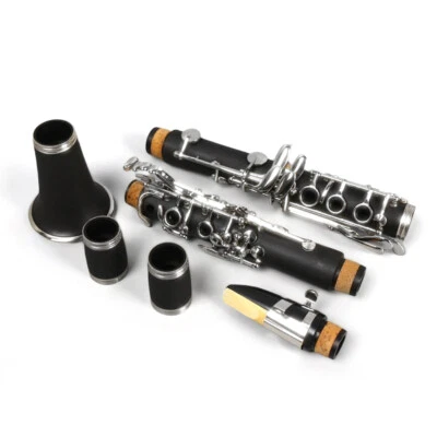 YINFENTE C key Advance Ebonite Wood Clarinet Two Barrels Nickel Plated Key with Case