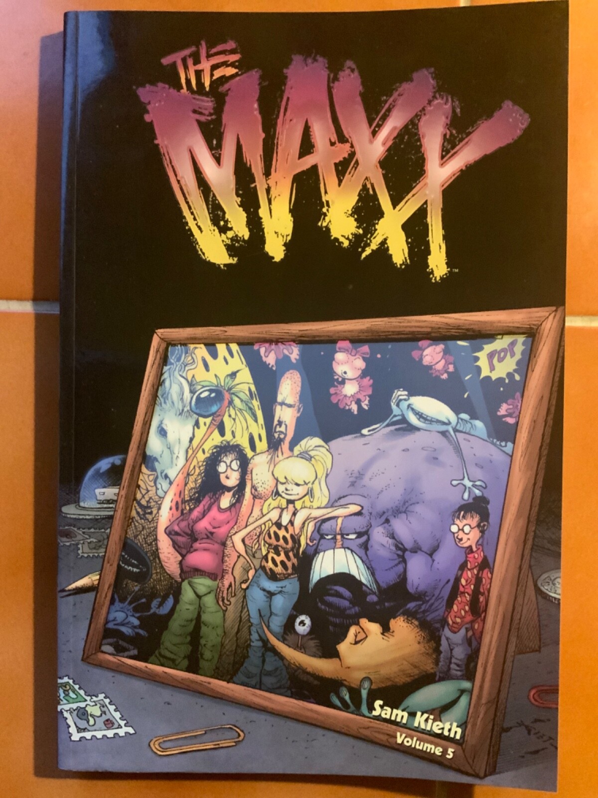 DC Comics - THE MAXX VOLS 1, 2, 3, 4, 5, 6 TPB COMPLETE SET by Sam