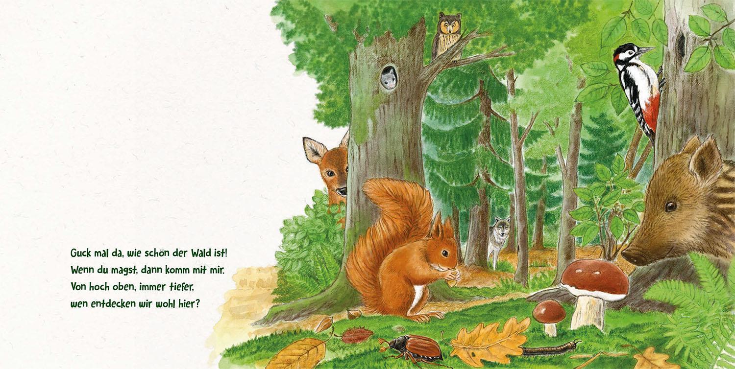 Thumbnail - Guck Mal Tief In Den Wald | Lisa Apfelbacher (u. A.) | Deutsch | Buch