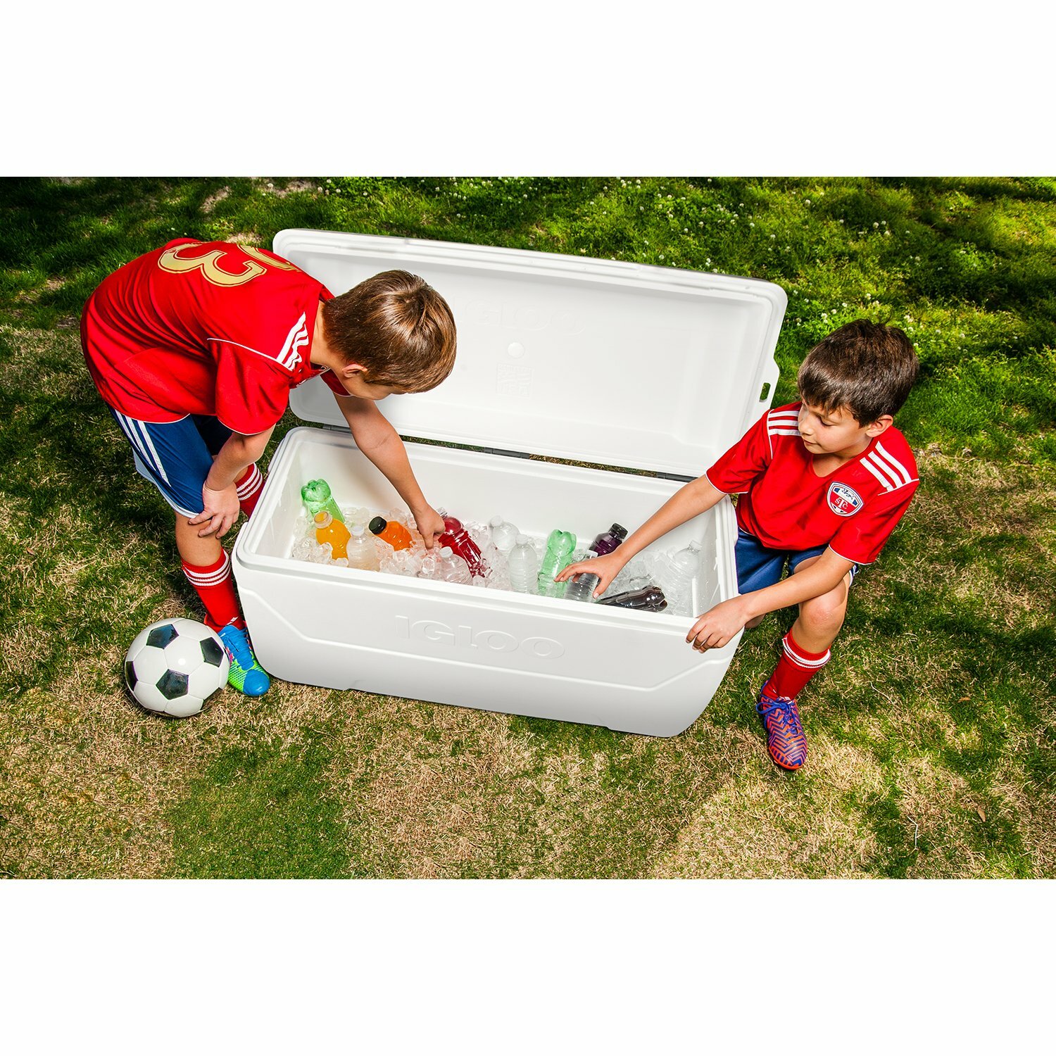 maxcold 150 quart cooler