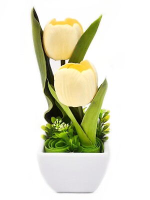 Tulpenpflanze im Topf, cremeweiß frische echte Note Lilie Blumen für Zuhause.