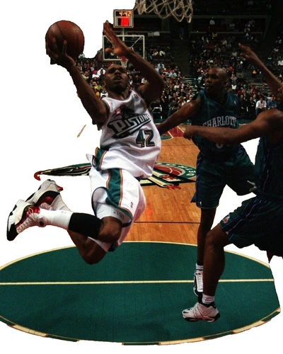 Jerry Stackhouse NBA Photos
