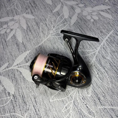 Daiwa Certate Sw Spinning Fishing Reel 6000-H DAIWA CERTATE 2506H Spinning Reel
